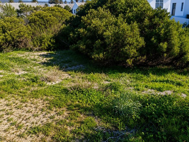 A view of a vacant residential plot featuring natural vegetation and sandy ground cover, situated within a developed residential estate.