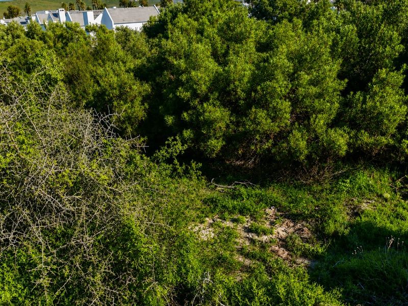 A view of a vacant residential plot featuring dense indigenous vegetation and sandy ground cover with surrounding residential properties in the background.