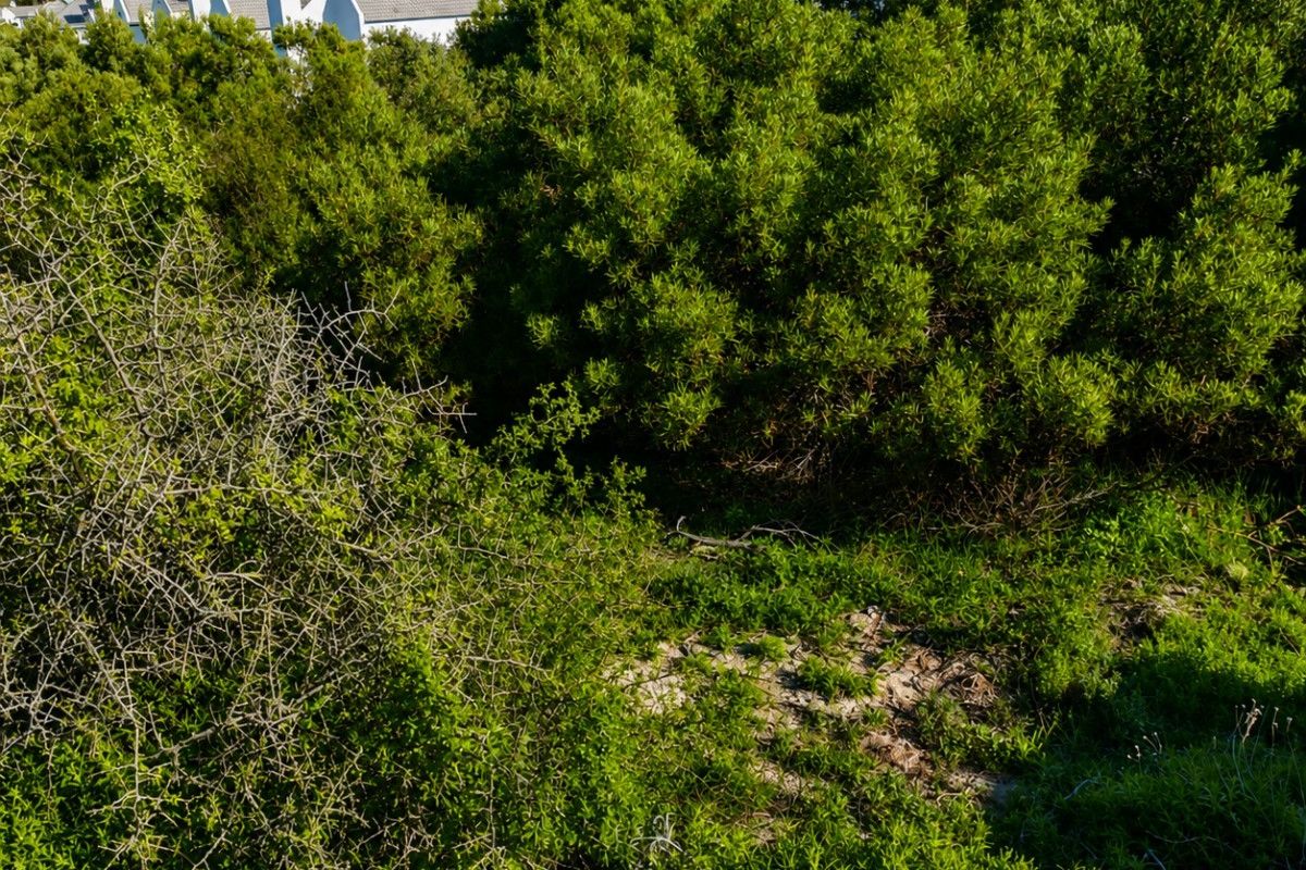 A view of a vacant residential plot featuring dense indigenous vegetation and sandy ground cover with surrounding residential properties in the background.