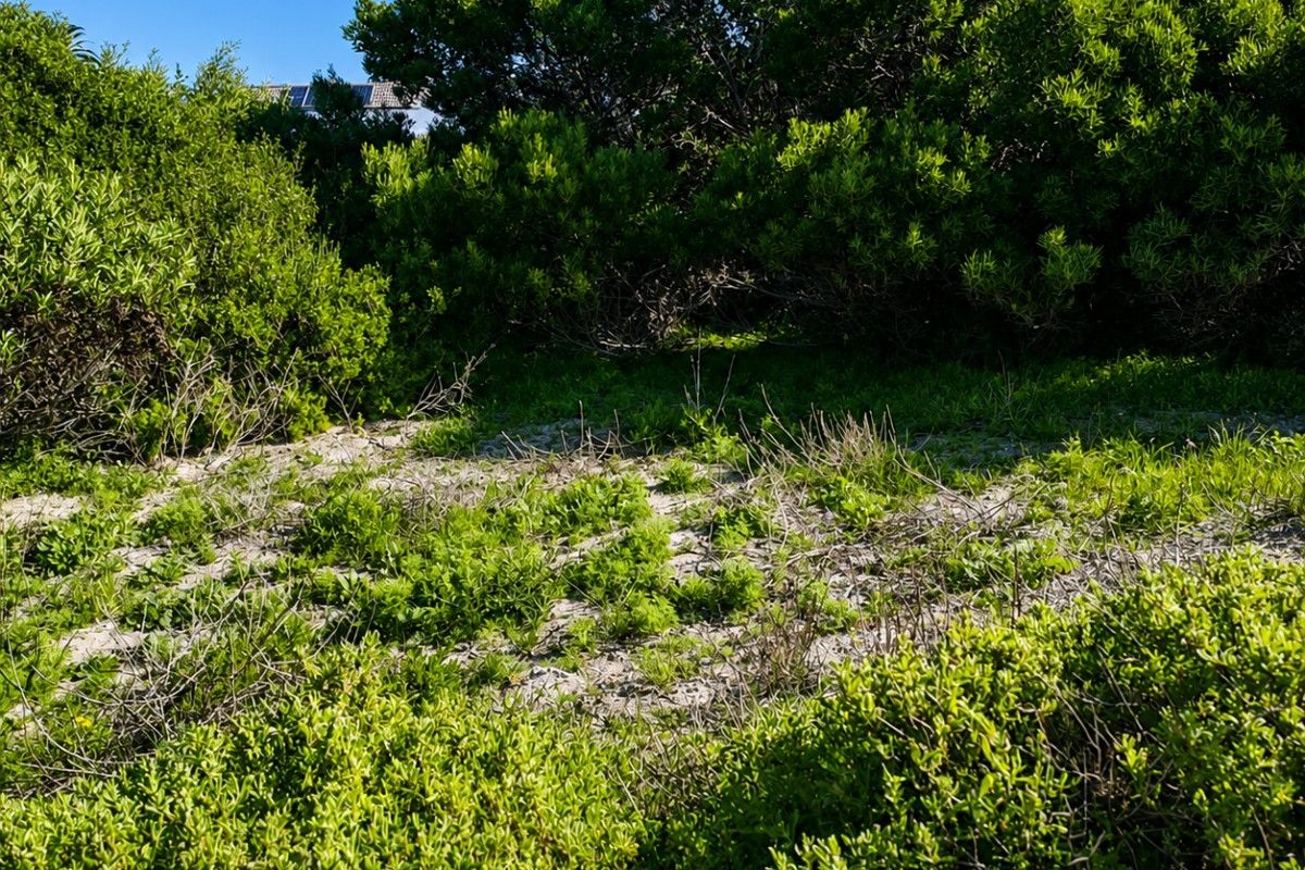 A view of a vacant residential plot featuring natural coastal vegetation and sandy ground cover.