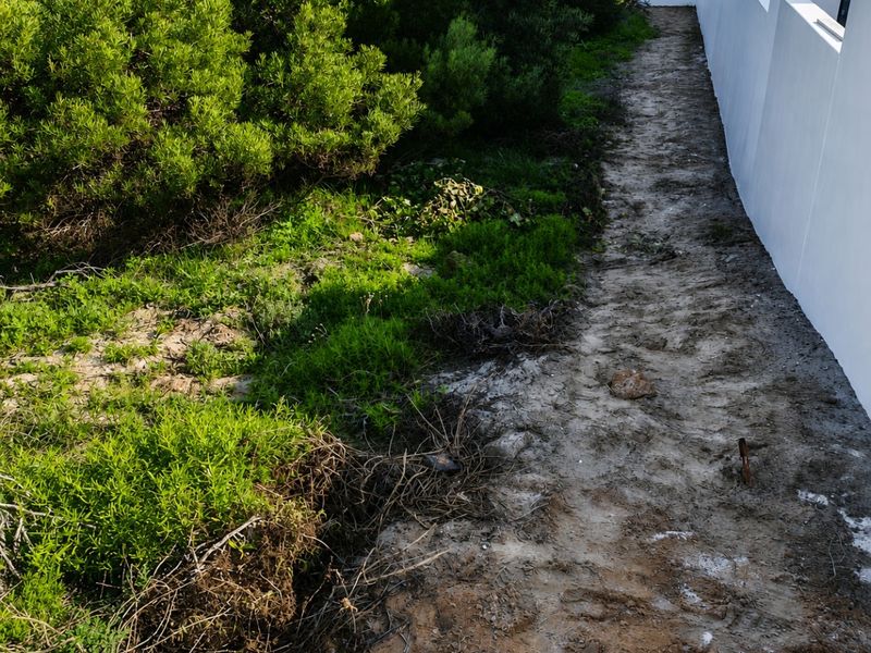 A side garden area featuring a white boundary wall and natural vegetation, currently requiring landscaping and ground surface improvement.