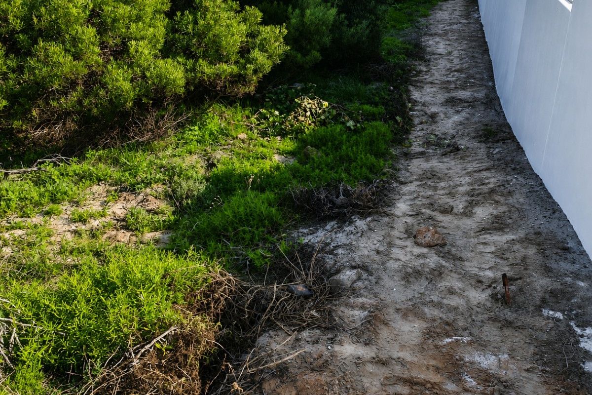 A side garden area featuring a white boundary wall and natural vegetation, currently requiring landscaping and ground surface improvement.