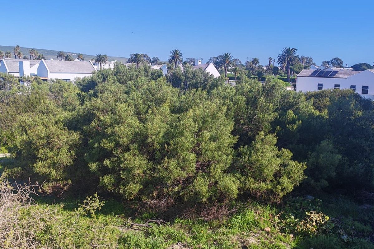 A view of a vacant residential plot featuring dense native shrubbery and vegetation with surrounding residential properties in the background.