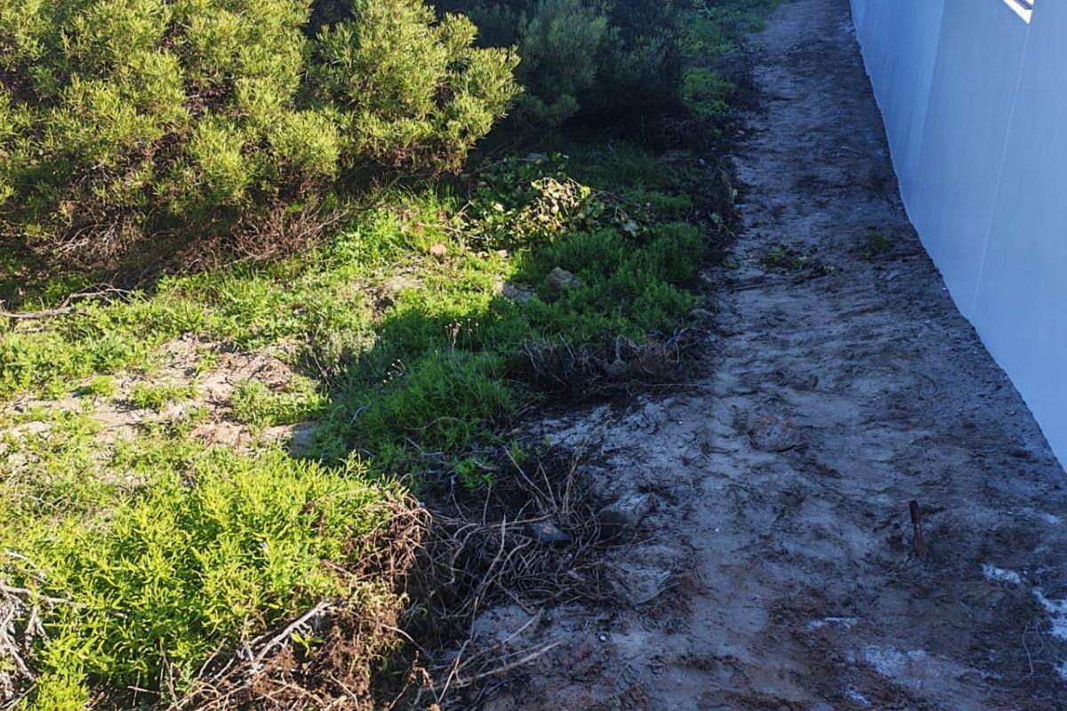 A side garden area featuring a boundary wall and natural vegetation, currently requiring landscaping and ground maintenance.