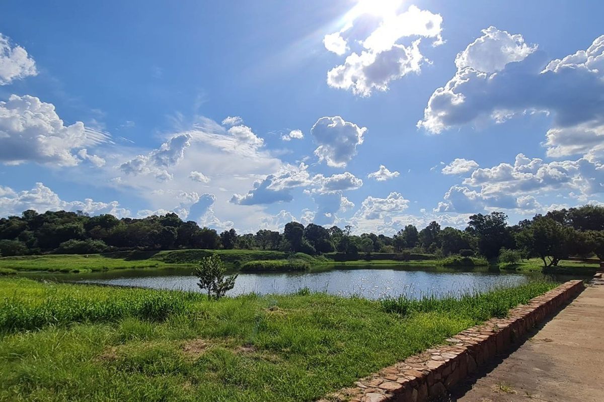A scenic outdoor view featuring a natural pond, landscaped green space, and a stone-edged concrete pathway under a bright blue sky.