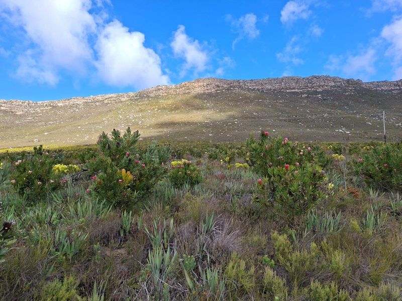 Farm For Sale in Riversdale Rural, Riversdale - Photo 3