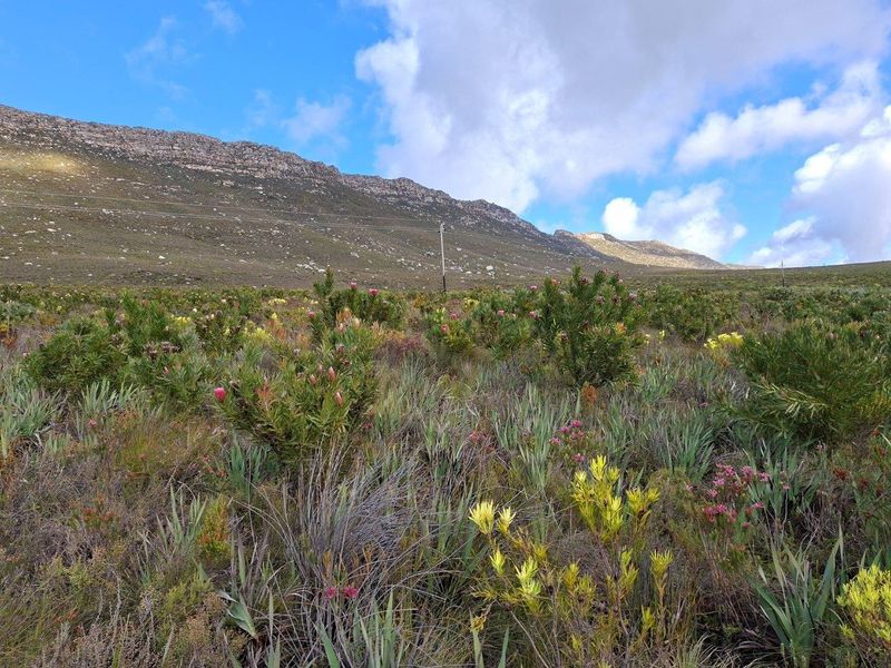 Farm For Sale in Riversdale Rural, Riversdale - Photo 4