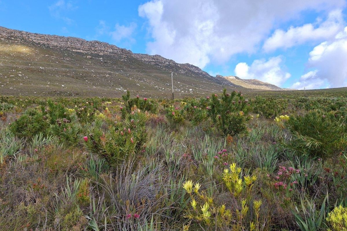 A scenic view of the natural mountain landscape and indigenous fynbos vegetation on the farm property.