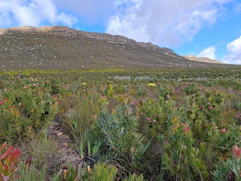 Farm For Sale in Riversdale Rural, Riversdale - Photo 9