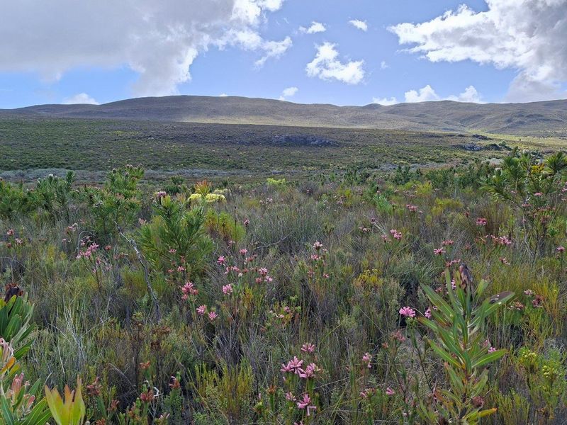 Farm For Sale in Riversdale Rural, Riversdale - Photo 10