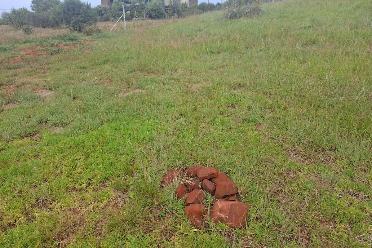 Vacant Land For Sale in The Hills Game Reserve Estate, Pretoria - Photo 3