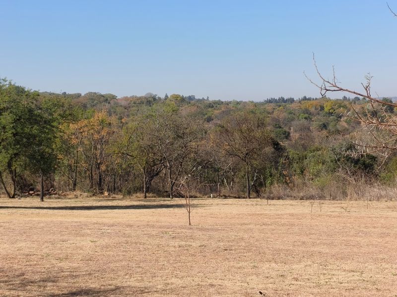 A scenic view of the expansive, tree-lined landscape and natural vegetation on the small holding property.