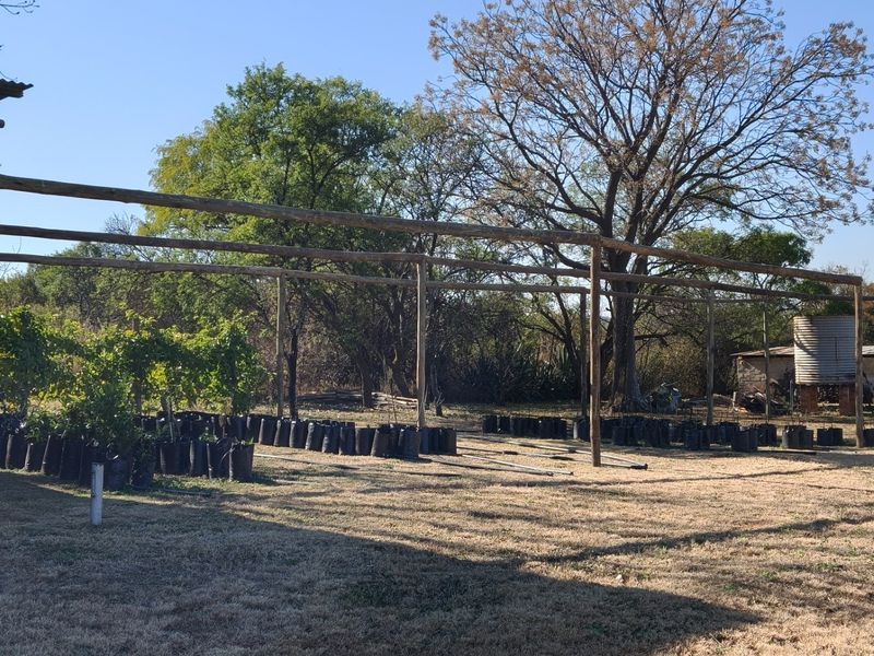 Outdoor garden area featuring a large wooden pergola structure, brick pillar, and a water tank on the property grounds.