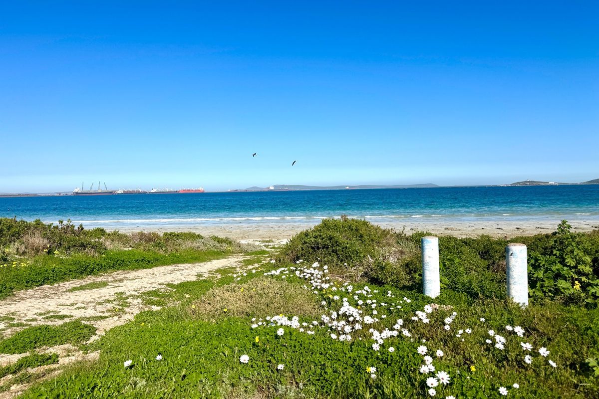 A scenic view of the coastline featuring a natural path leading toward the ocean with clear blue skies.