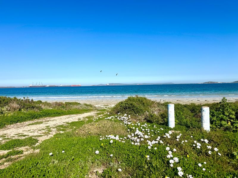 A scenic view of the coastline featuring a natural path leading toward the ocean with clear blue skies.