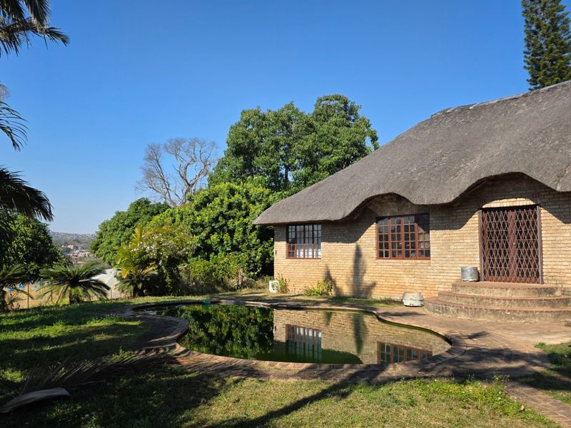 Rear view of a brick farmhouse featuring a thatched roof, a swimming pool, and a surrounding garden area.