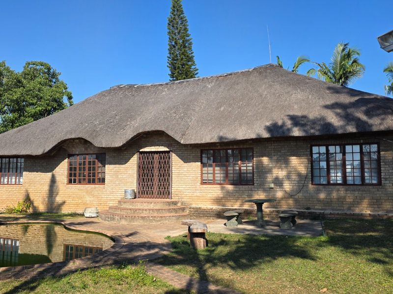 Rear view of a face brick farmhouse featuring a traditional thatch roof, a swimming pool, and paved outdoor area set within a garden.
