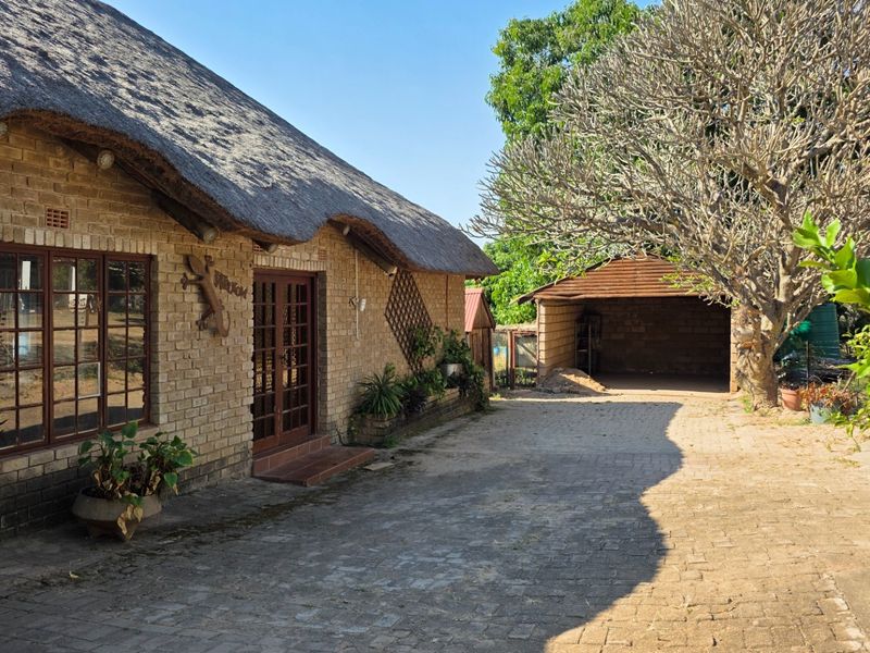 Rear view of a farm-style residence featuring a traditional thatch roof, face brick exterior, and a paved driveway leading to a detached carport.