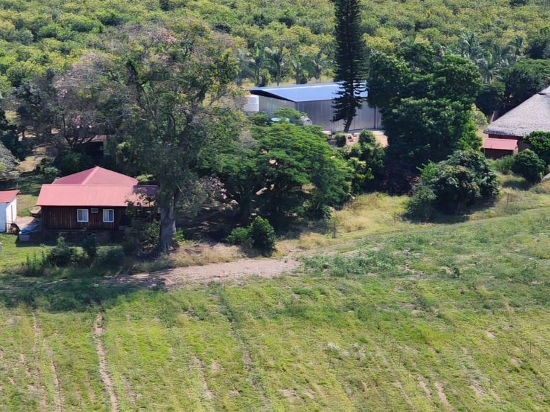 Aerial view of a farm property featuring multiple structures, including a main residence with a metal roof and a secondary building with a thatch roof.