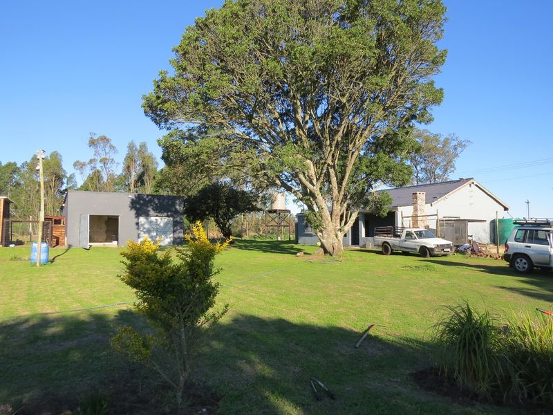 FARM STYLE LIVING WITH TWO HOMES CLOSE TO PORT ELIZABETH - Photo 1
