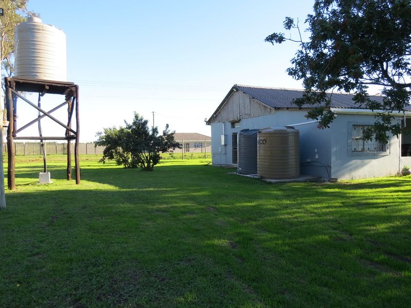 FARM STYLE LIVING WITH TWO HOMES CLOSE TO PORT ELIZABETH - Photo 5
