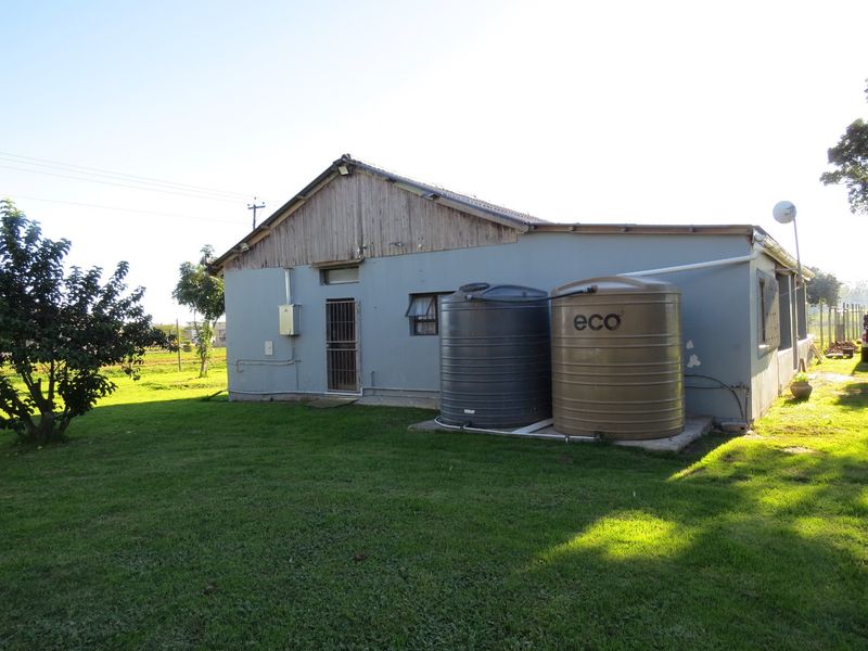 FARM STYLE LIVING WITH TWO HOMES CLOSE TO PORT ELIZABETH - Photo 4
