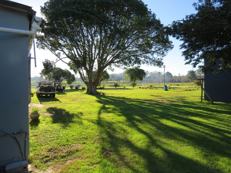 FARM STYLE LIVING WITH TWO HOMES CLOSE TO PORT ELIZABETH - Photo 9
