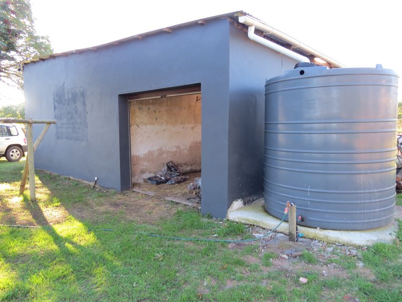 FARM STYLE LIVING WITH TWO HOMES CLOSE TO PORT ELIZABETH - Photo 8