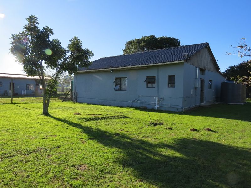 FARM STYLE LIVING WITH TWO HOMES CLOSE TO PORT ELIZABETH - Photo 7