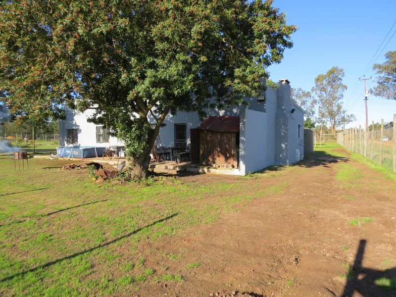 FARM STYLE LIVING WITH TWO HOMES CLOSE TO PORT ELIZABETH - Photo 6