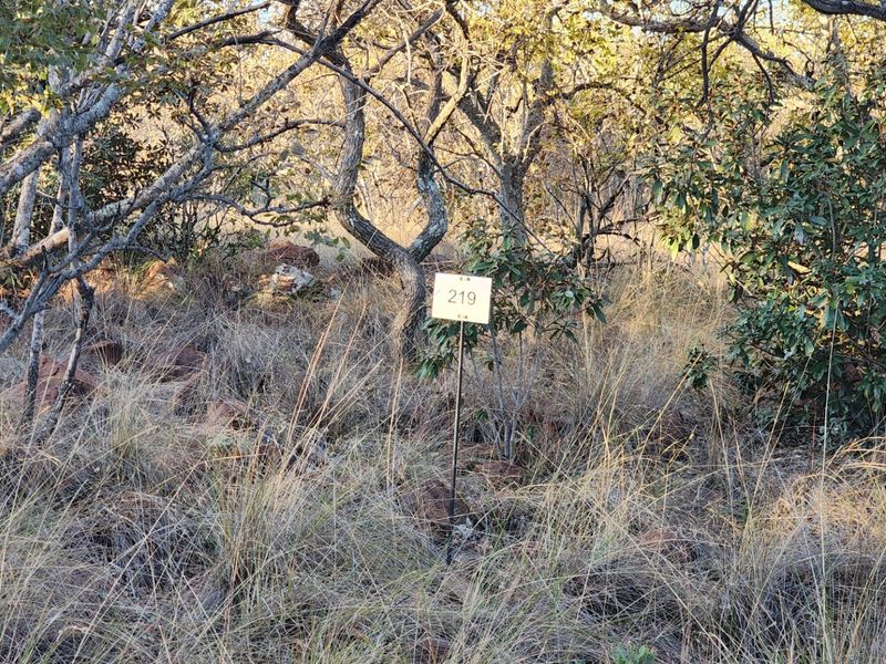 Verloren - Two Bedroom - Plot and Plan Opportunity with Developer and Resident Builder - Photo 2
