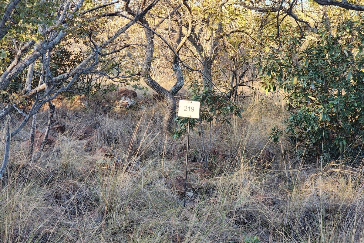 A view of the vacant residential land featuring natural vegetation and established trees, marked with a plot number sign.