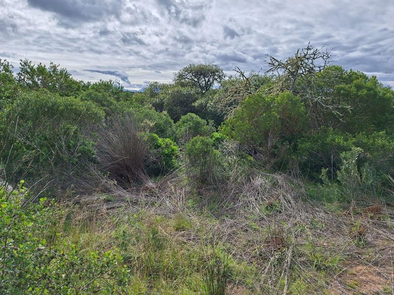 Farm For Sale in Riversdale Rural, Riversdale - Photo 1