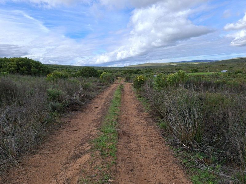 Farm For Sale in Riversdale Rural, Riversdale - Photo 10