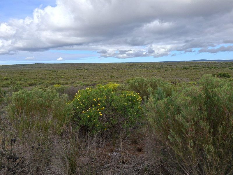 Farm For Sale in Riversdale Rural, Riversdale - Photo 8