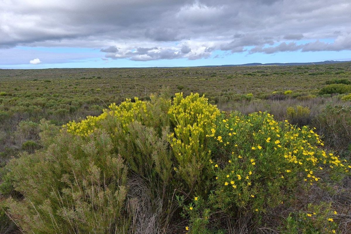 A wide-angle view of the expansive natural landscape and indigenous vegetation on the farm property.