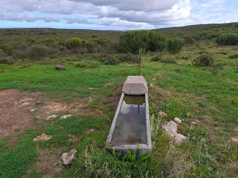 Farm For Sale in Riversdale Rural, Riversdale - Photo 5