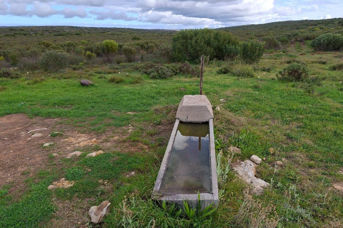 A concrete water trough situated in an open field on the farm property.