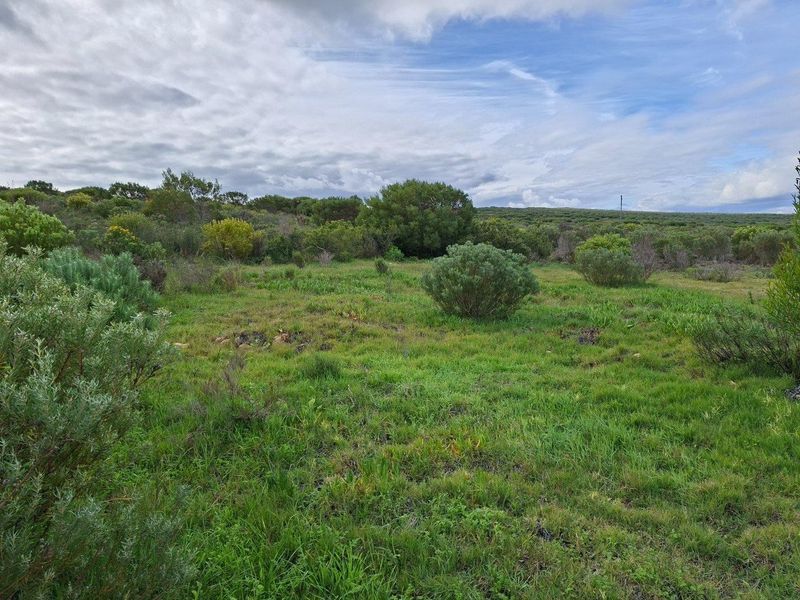 Farm UNDER OFFER in Riversdale Rural, Riversdale - Photo 7