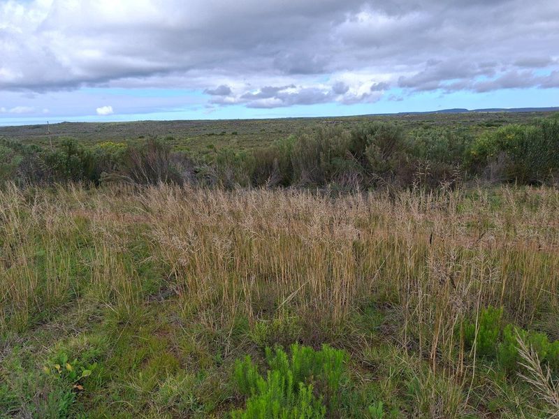 Farm UNDER OFFER in Riversdale Rural, Riversdale - Photo 8