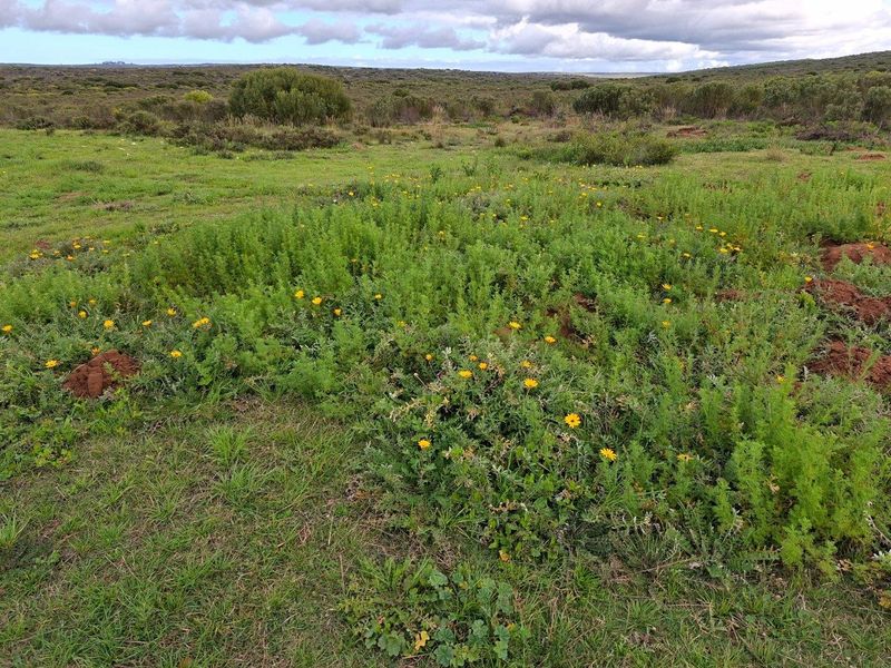 Farm UNDER OFFER in Riversdale Rural, Riversdale - Photo 6