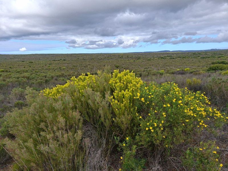 Farm UNDER OFFER in Riversdale Rural, Riversdale - Photo 5