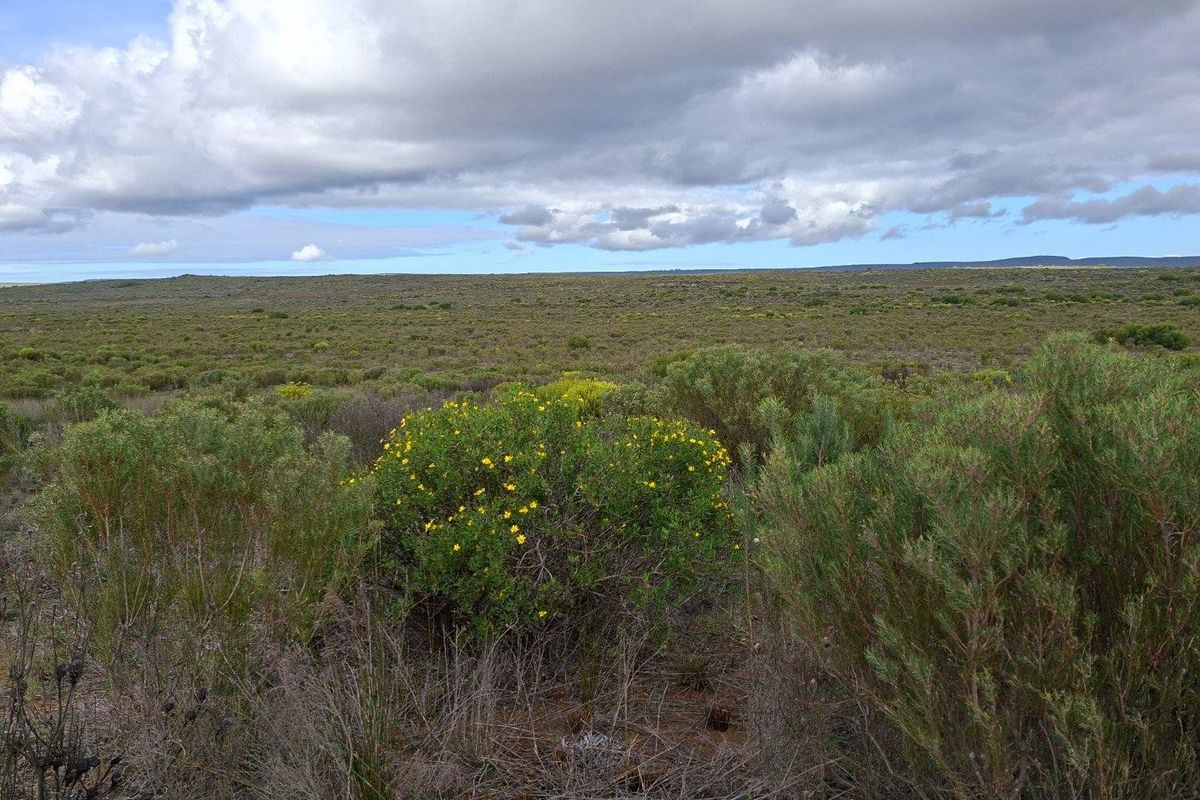 Expansive view of the natural farm landscape featuring indigenous vegetation and open terrain under a cloudy sky.