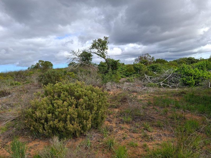 Farm For Sale in Riversdale Rural, Riversdale - Photo 8