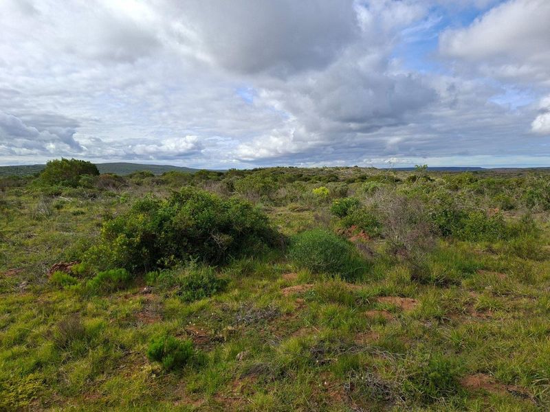 Farm For Sale in Riversdale Rural, Riversdale - Photo 6