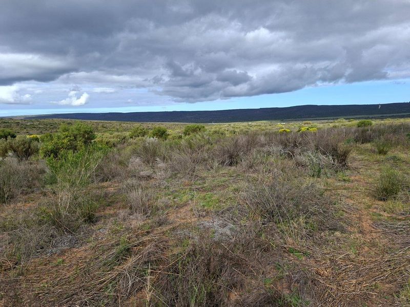 Farm For Sale in Riversdale Rural, Riversdale - Photo 7