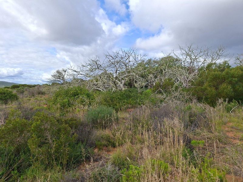 Farm For Sale in Riversdale Rural, Riversdale - Photo 2