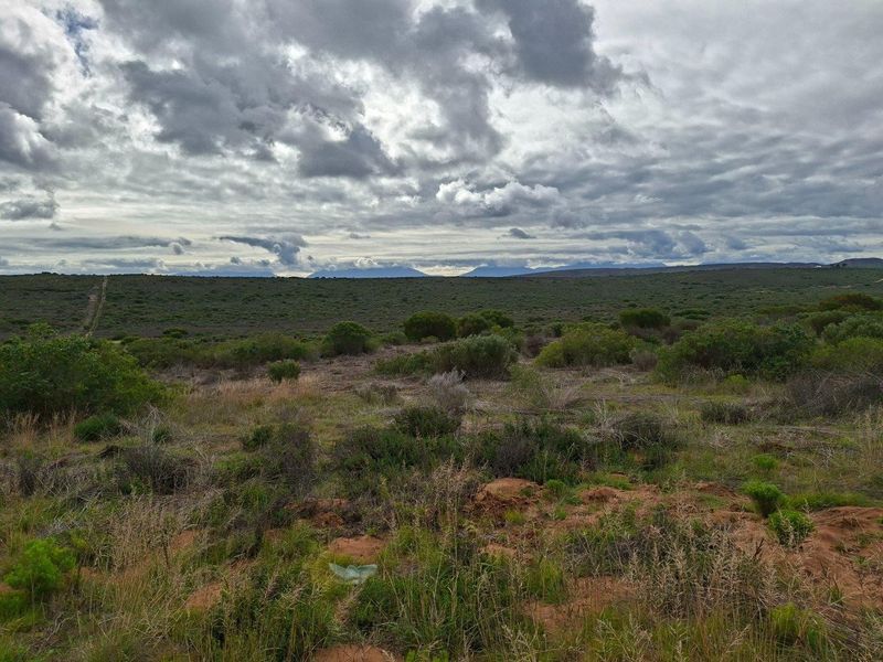 Farm For Sale in Riversdale Rural, Riversdale - Photo 5