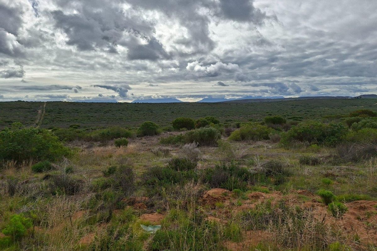 Expansive landscape view of the farm property featuring natural vegetation and distant mountain ranges under a cloudy sky.