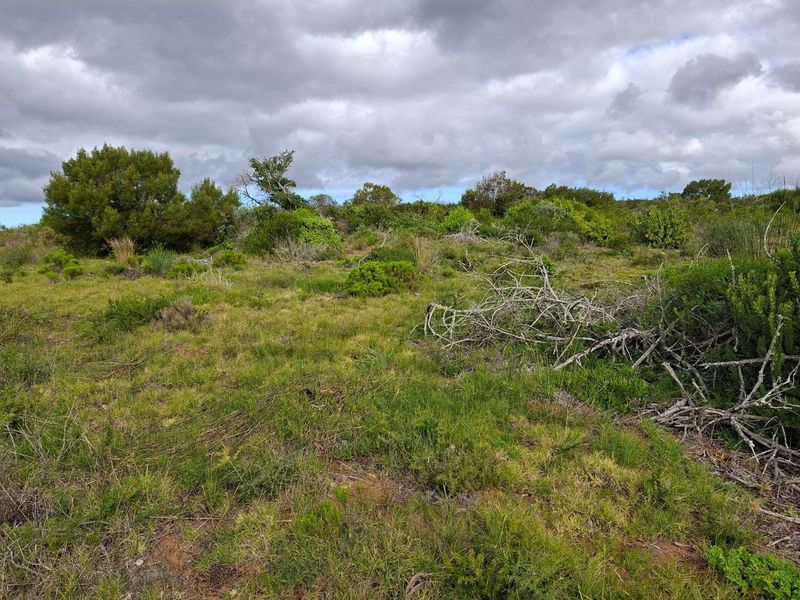 Farm For Sale in Riversdale Rural, Riversdale - Photo 4